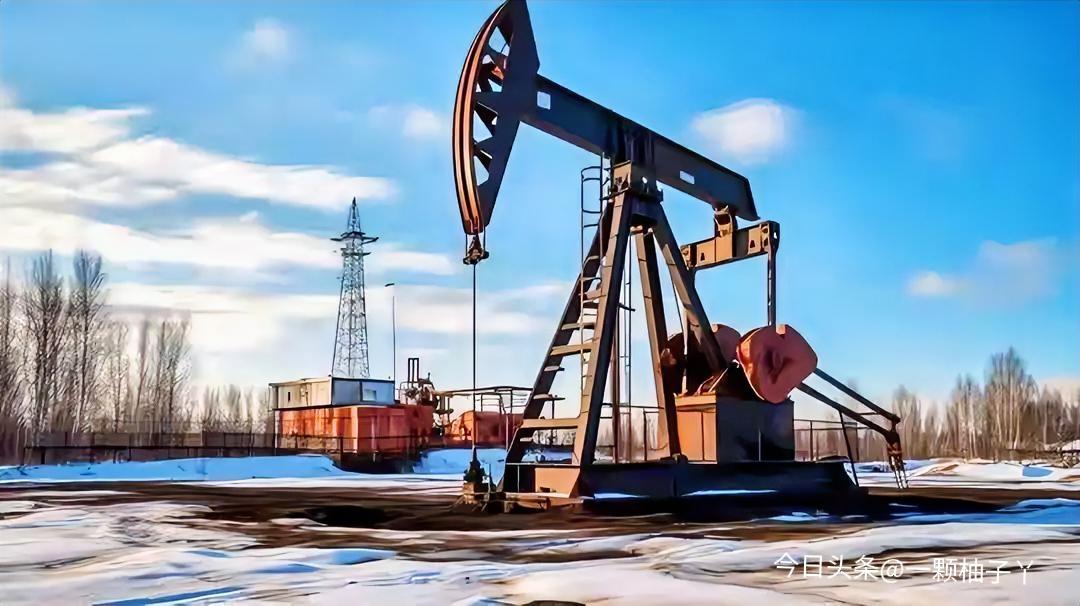 日本跟着西方制裁俄罗斯四年，如今能源供应紧张，只能趁着短期豁免，想紧急买点俄罗斯