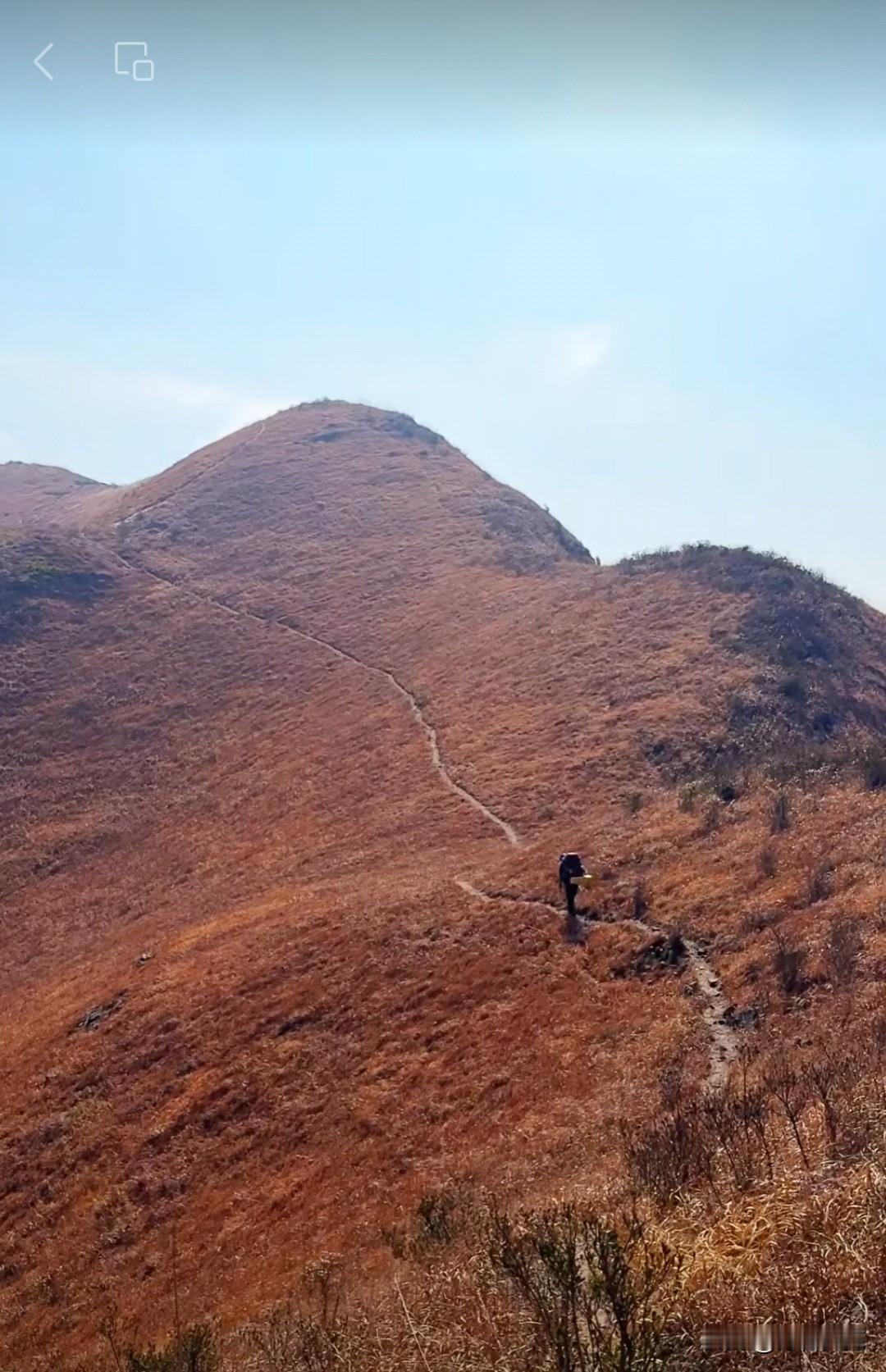 《爱的摩天轮》

y痴迷L，L对y无感，
数十年如一日，
痴迷没变，
无感也没变