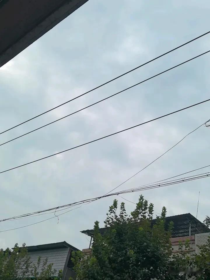 翻相册刚好存了昨天下班路上拍的云，天是雾蒙蒙的浅蓝，云团胖得像刚发酵好的棉花包，