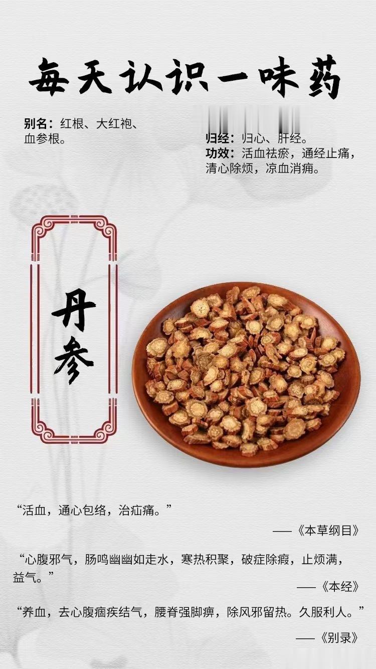 #国医的精诚力量##每天一味中草药##论道岐黄# 【每天认识一味药】💎丹参[抱