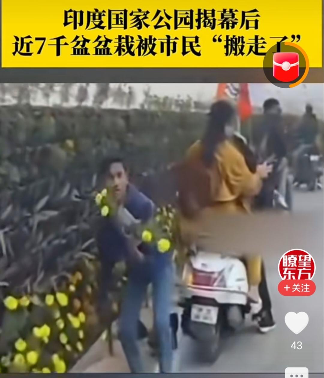 印度国家公园揭幕后，近7000盆盆栽被市民“搬走了”

近日，在印度勒克瑙“国家