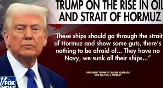 【“这些船只必须通过霍尔木兹海峡，展现勇气——没有什么好怕的，”特朗普说。 “伊