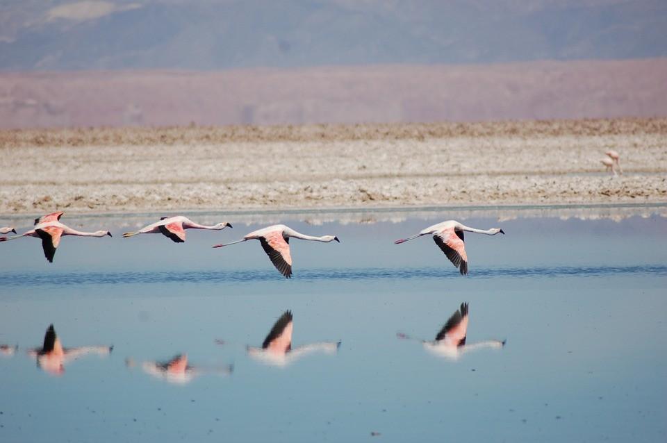 夜，可以很黑，但心不要冷。我们无法挡住时间的流逝，但是请相信，今天你努力并且坚持