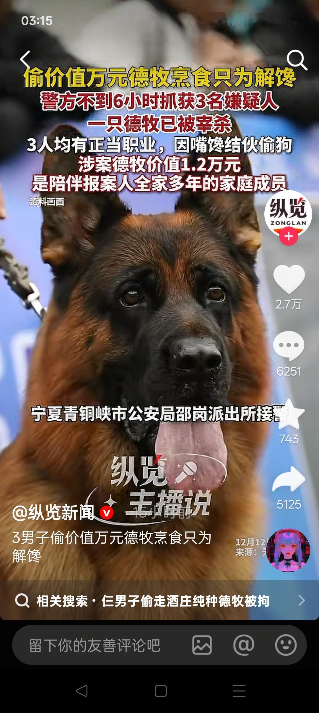 警察抓偷狗贼，跟那个为狗守孝三年的女人无关！

宁夏青铜峡市，3名有正当职业的男