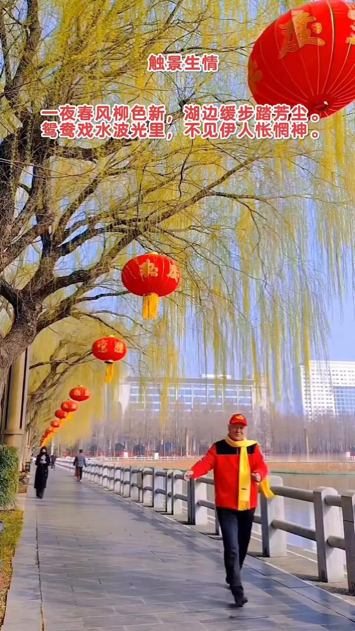 触景生情。
一夜春风柳色新，湖边缓步踏芳尘。鸳鸯戏水波光里，不见伊人怅惘神。