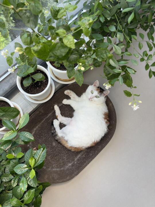 偷拍孩子睡觉但被发现