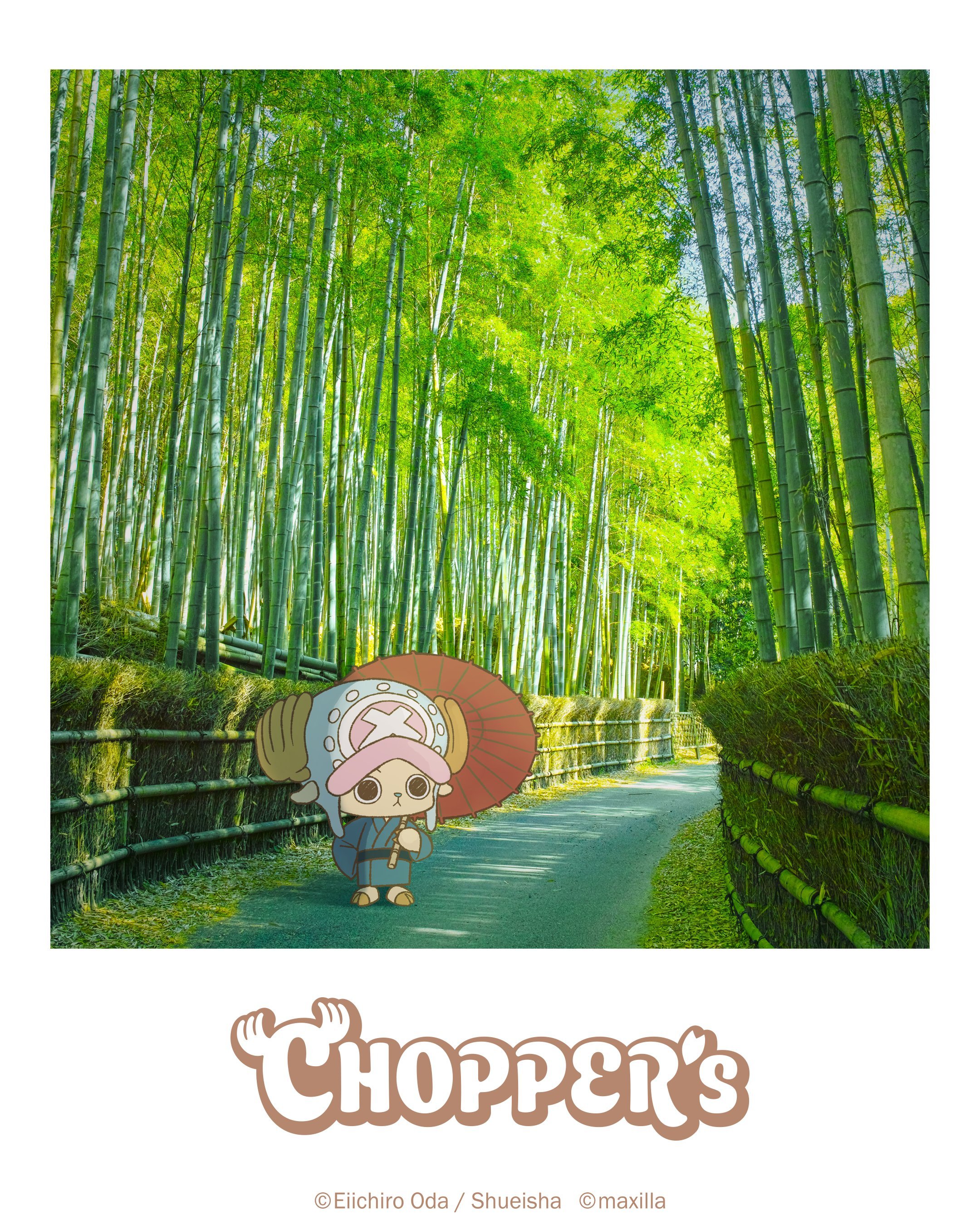 海贼王官方乔巴全新企划“CHOPPER's”，发一些乔巴在现实世界的图和视频。今