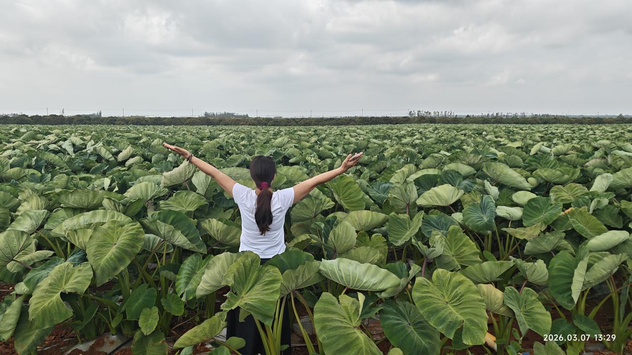 【环国行摄】第三阶段西部篇D23天总第78天：北海休整
1.路线:北海。
2.今