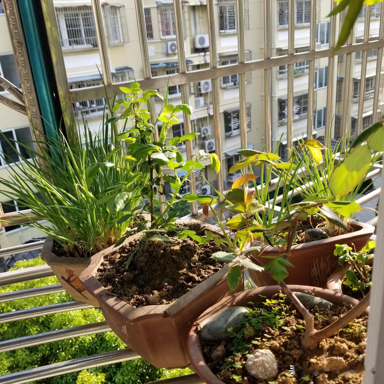 夫妻之间的铁定规律：
1、俩人都傻=家庭安稳。
2、妻子随和+老公精明=家庭幸福