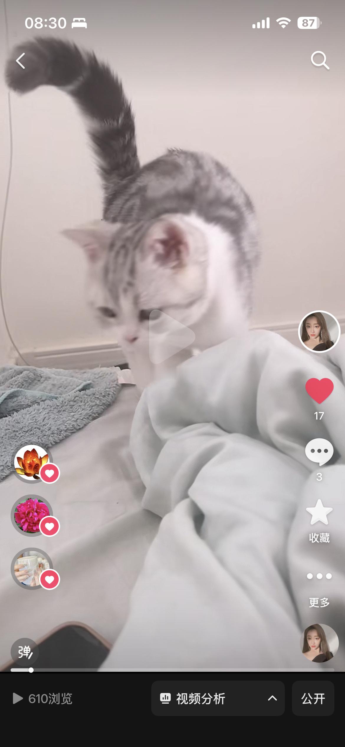 这种欧洲蓝的被子床单 