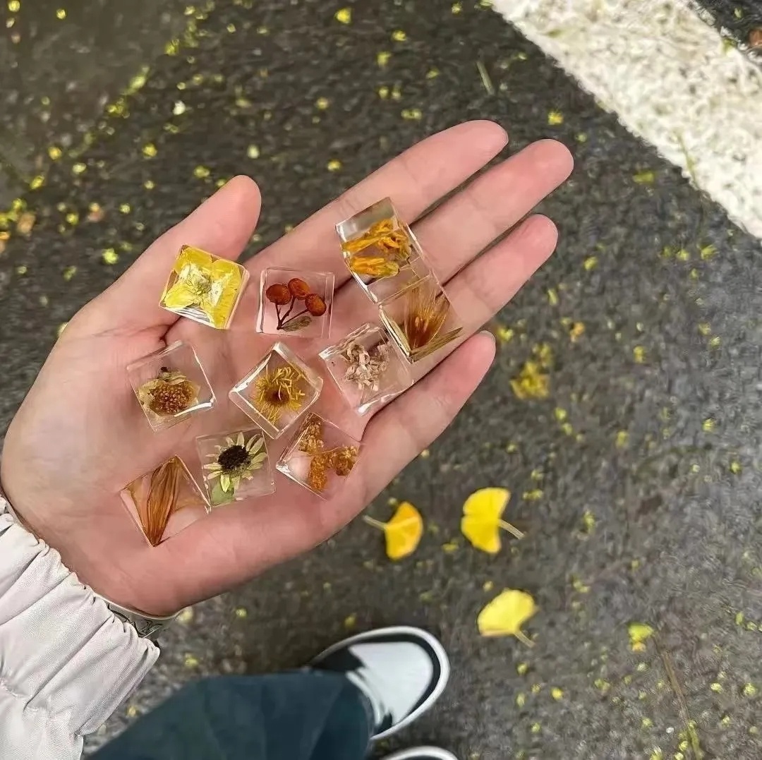 慢慢来，谁都有花开的时候 