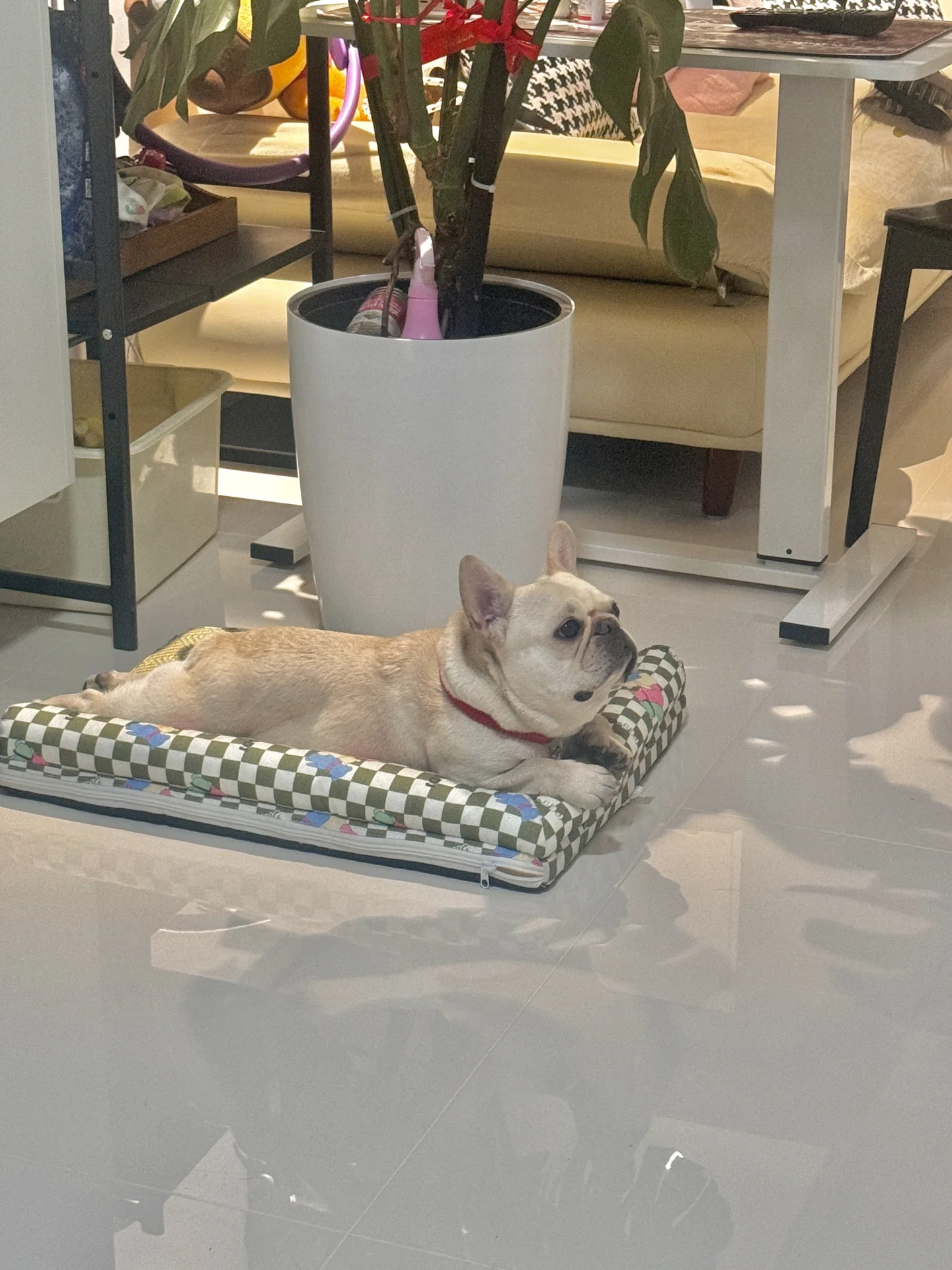 谁懂这小肉体的诱惑力有多大🤤