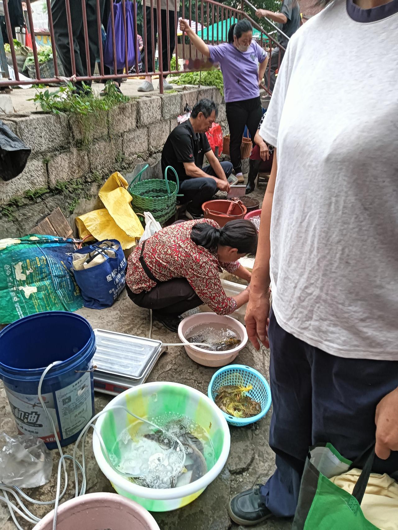早上经过贵港市港北区郁江大桥桥底小市场，早听闻这里有江鱼出售且质量不错。现场见江