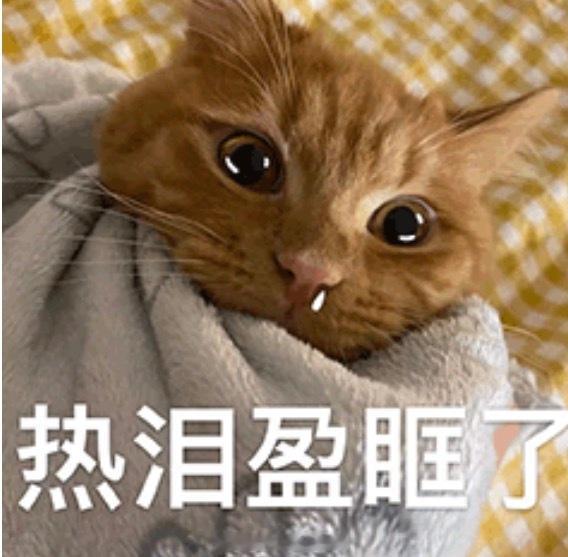 🥹好久没打开钉钉软件。今天打开，发现老师要求背诵古诗。每天要打卡的。暑假已经过