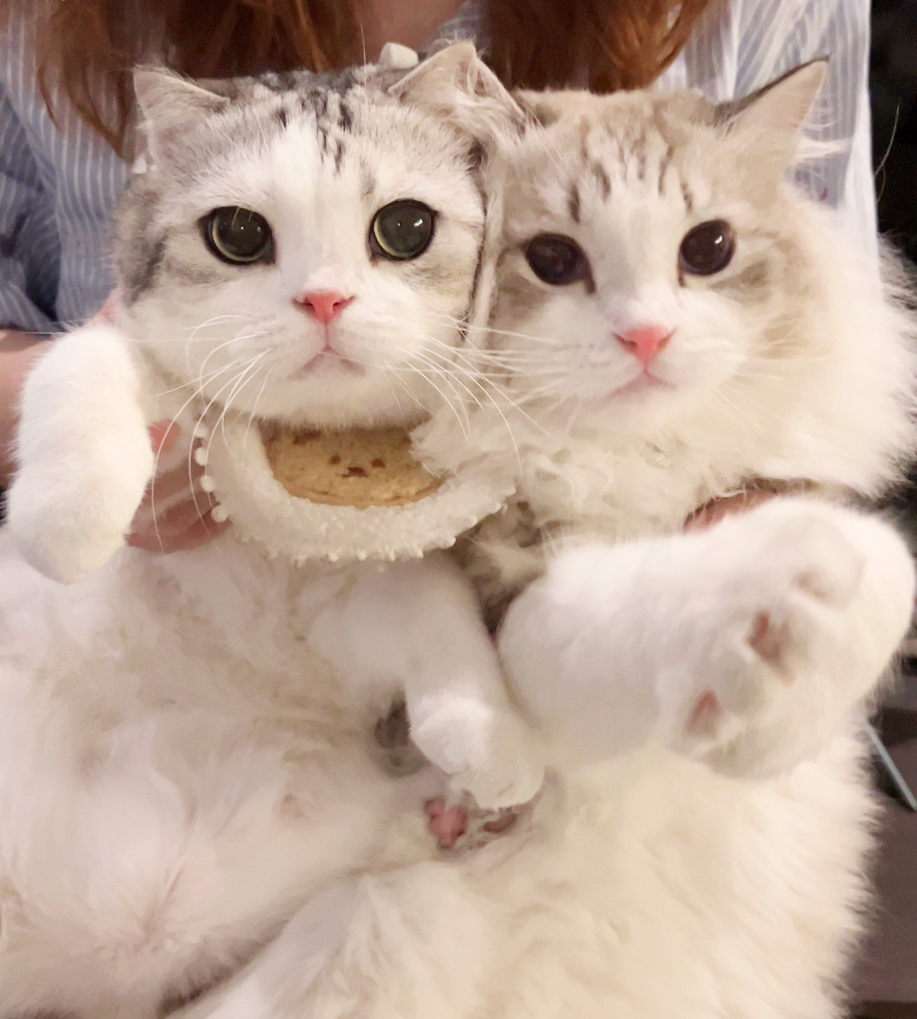 2023年最后一天啦，祝大家新年快乐！（记得撕下第一张日历！） ​​​