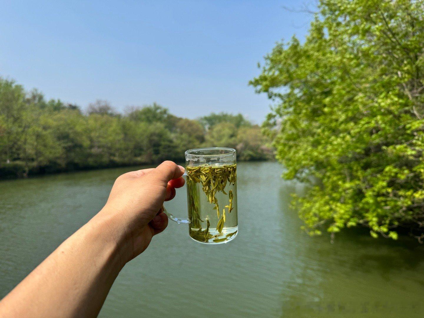 春日喝新茶🍵赏樱花🌸探访淹城书院📖  ​​​