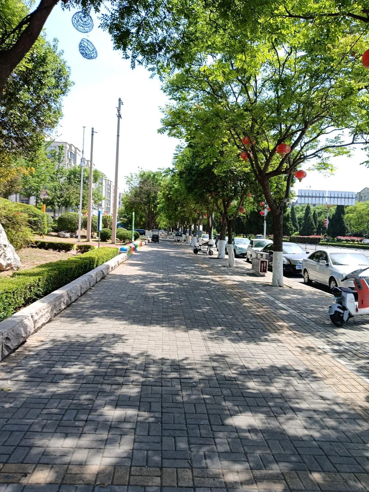 街头随拍分享商丘