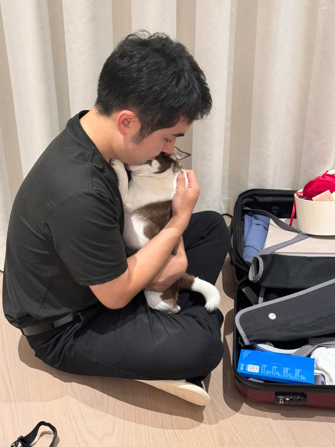 和爸爸亲密无间的日常｜吉娃娃