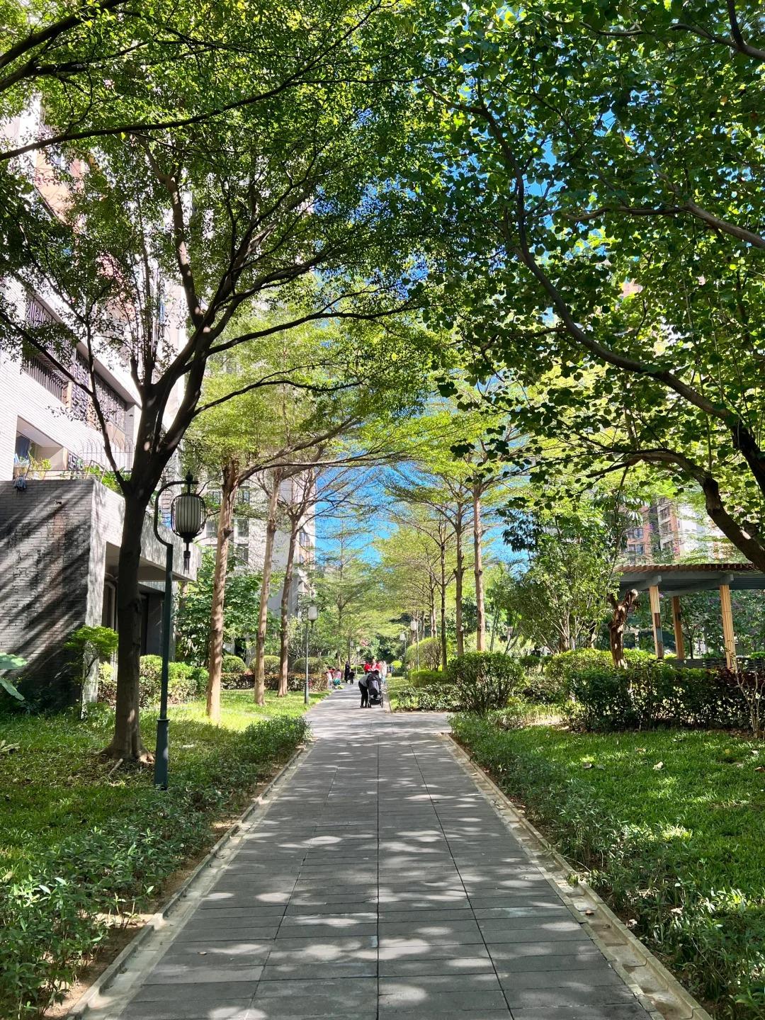 岁月淬炼，方知人生真谛从不是追风逐浪。真正的通透，是于烟火谋生中守得本心安然。不
