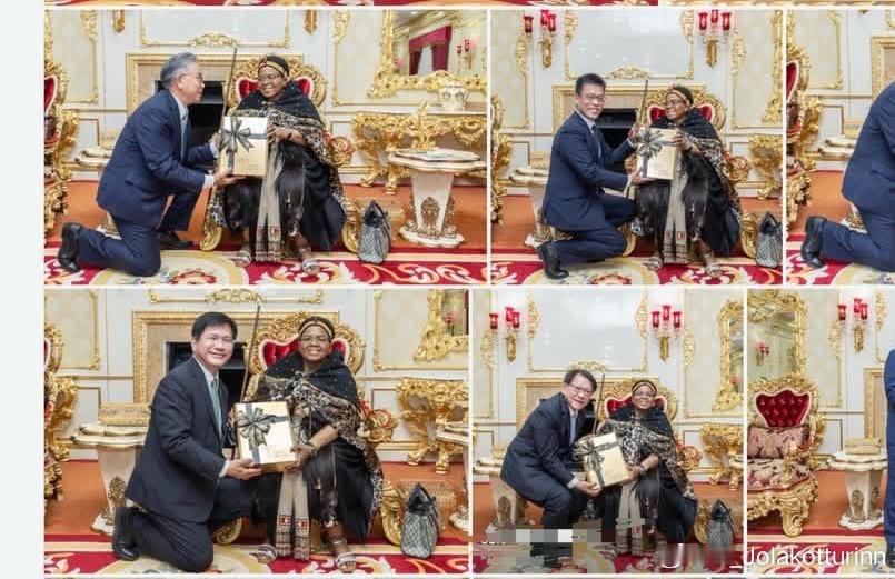 赖清德之流以偷鸡摸狗的方式外窜至斯威士兰，已经是一场可笑的国际闹剧。随行台湾省政