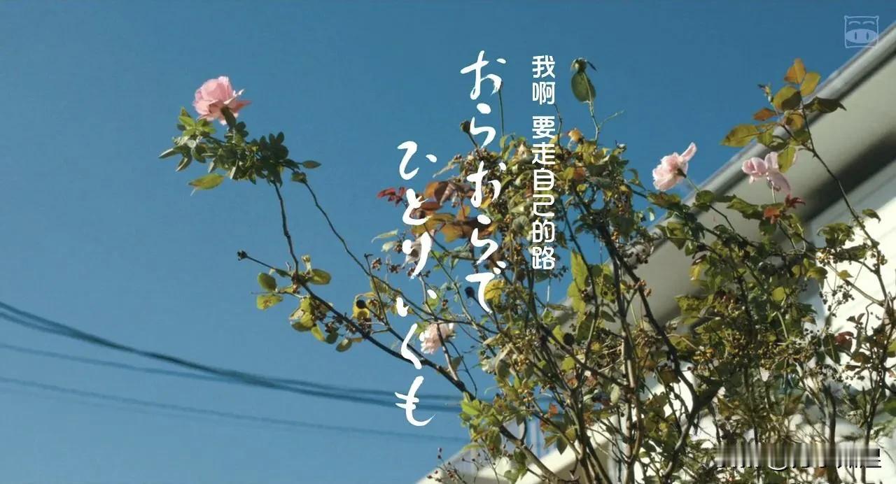 你独自生活的这些年，过的还好吗？《我啊，走自己的路》#一人一个观后感# #电影感