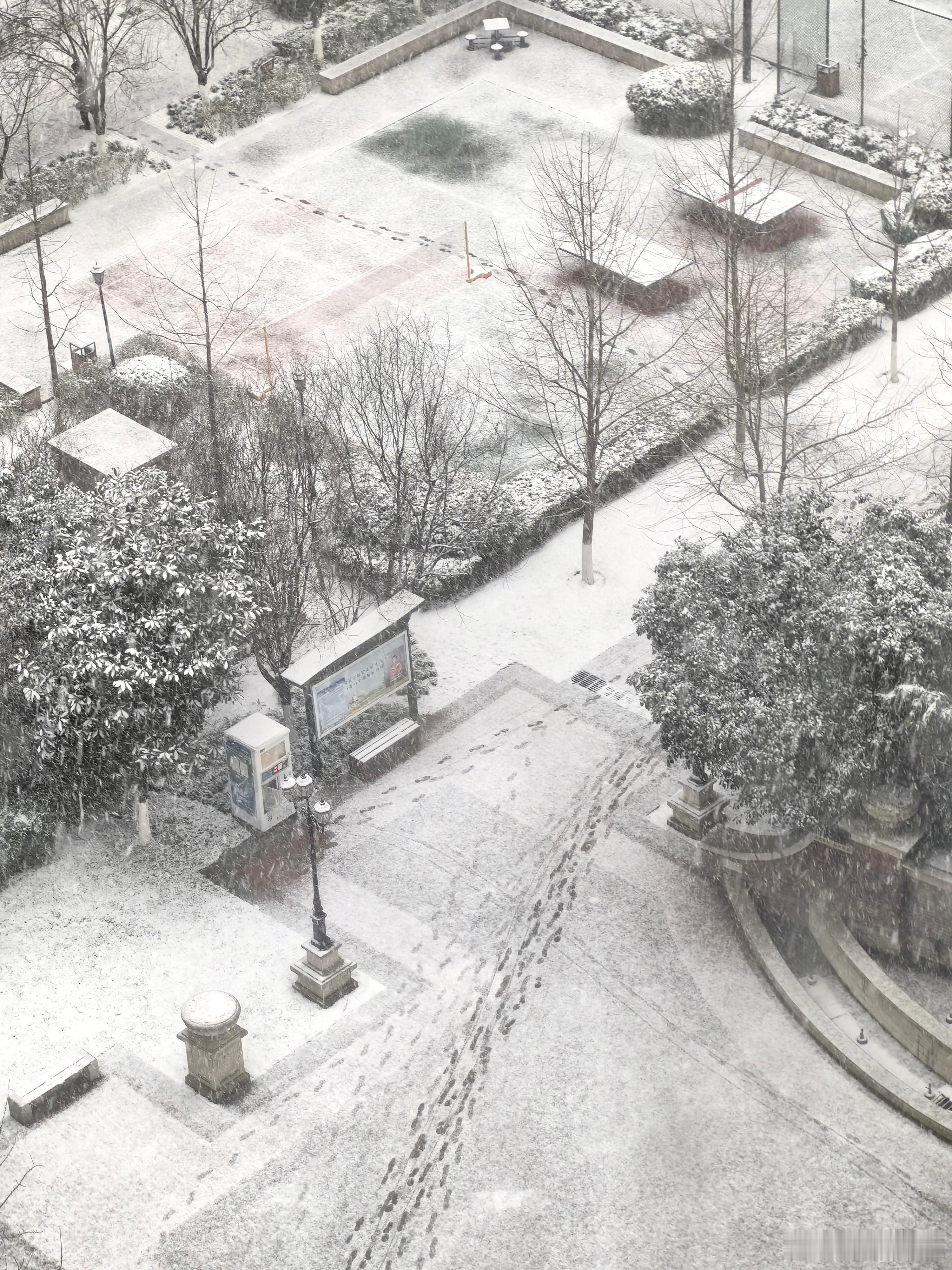 #西安下雪#从早上到现在，鹅毛般的大雪一直在下，而且伴随着下雪还有降温，今天是非