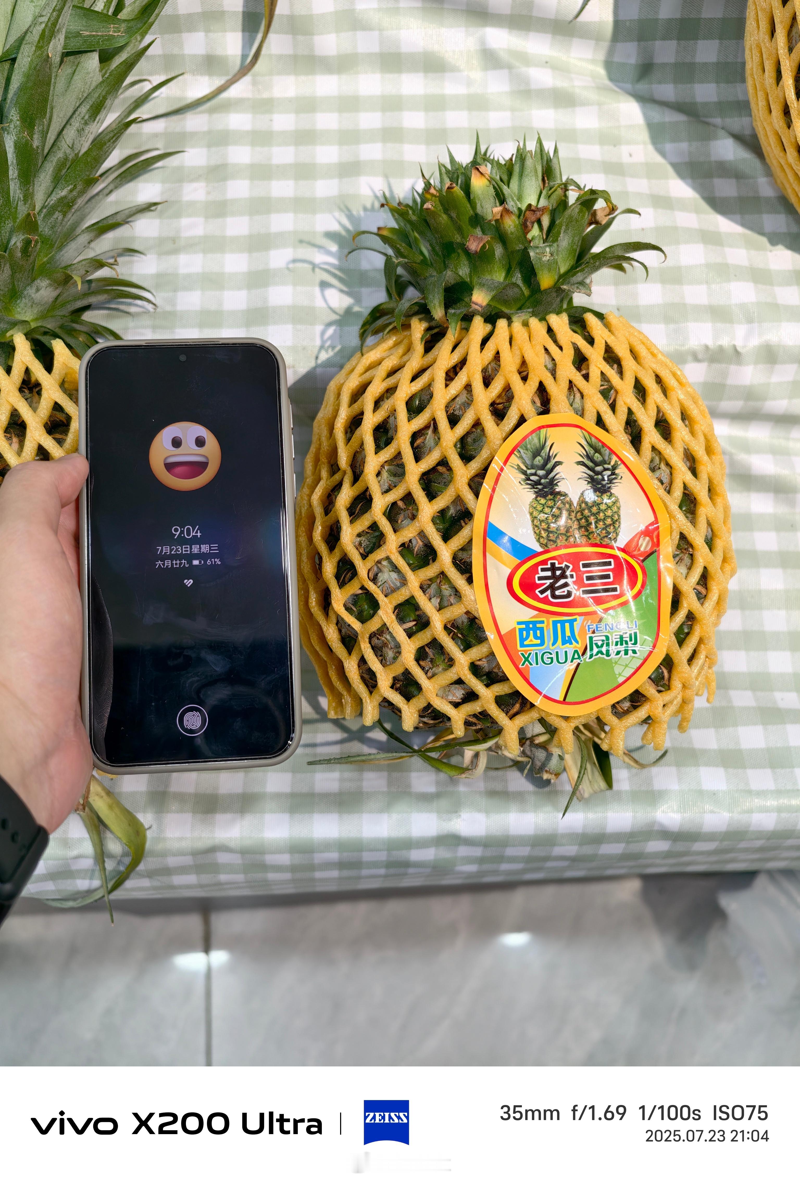 第一次见这么大的凤梨[哆啦A梦害怕] ​​​