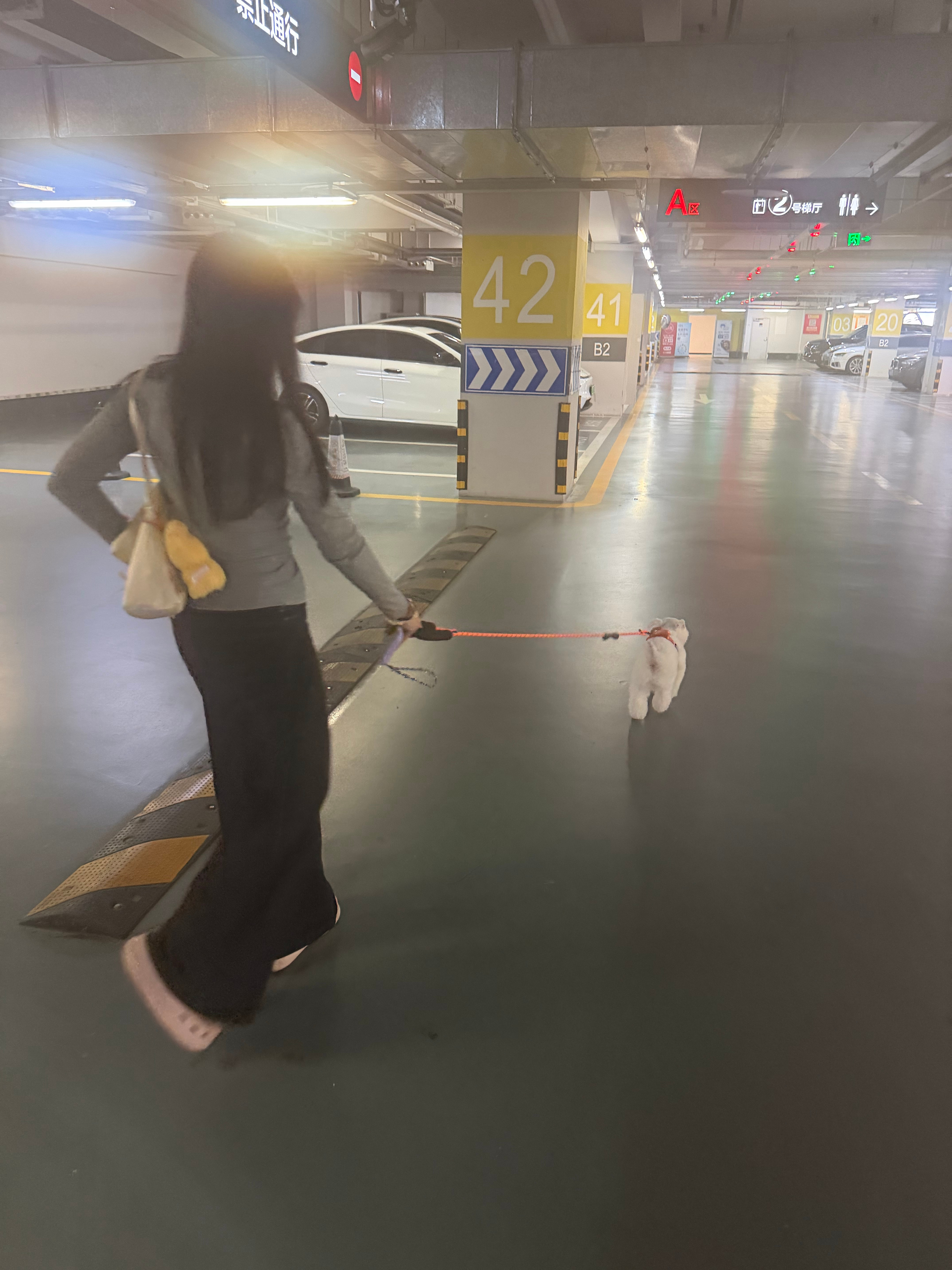 翻山越岭来成都撸这只丑狗​​​