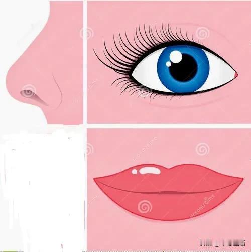 新冠肺炎传播能力很强，知道防护要点就不怕它：
鼻👃、口👄、眼👀。
我们的口