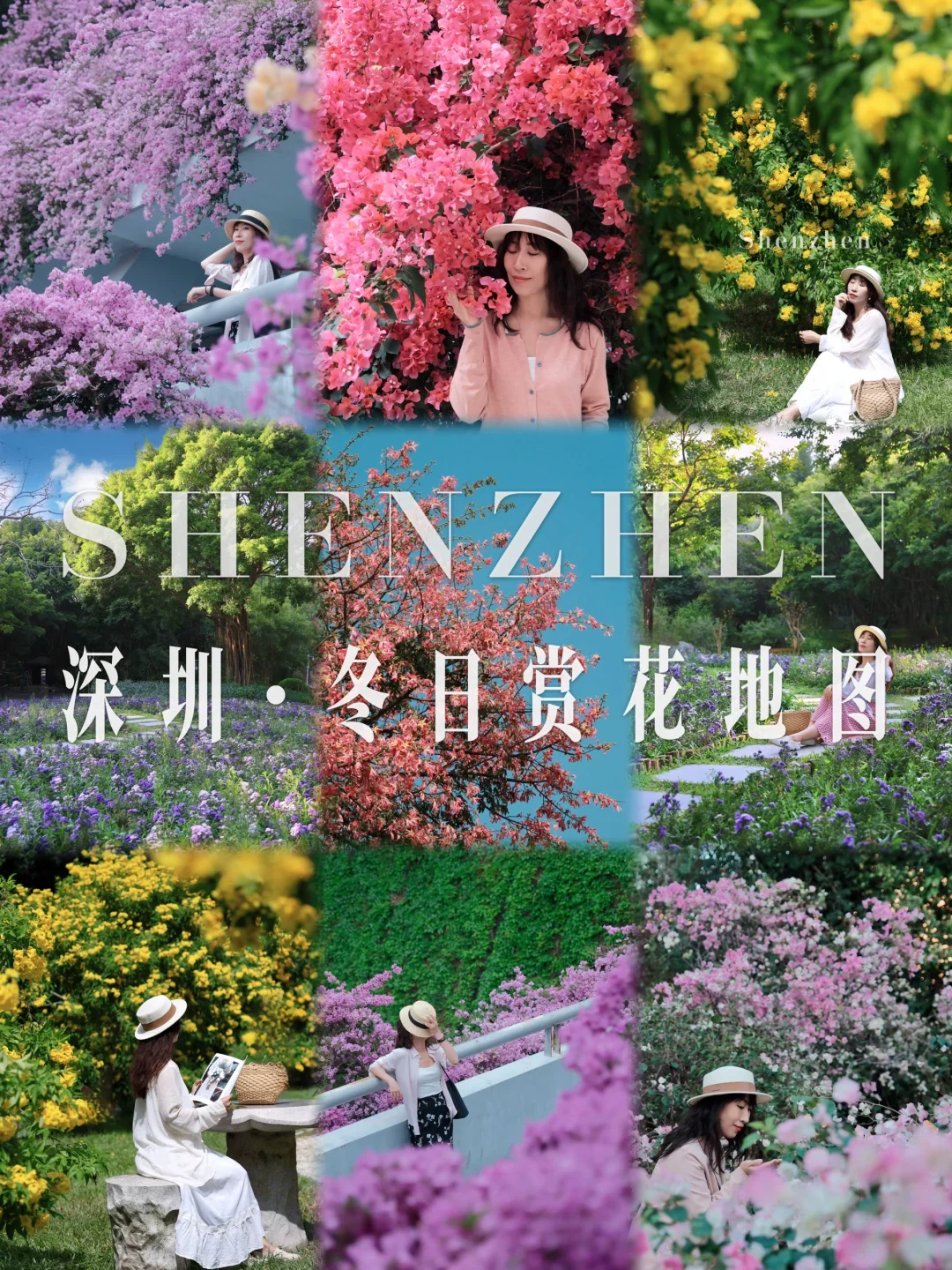 不是～深圳的冬天长这样吗？春日氛围感拉满！