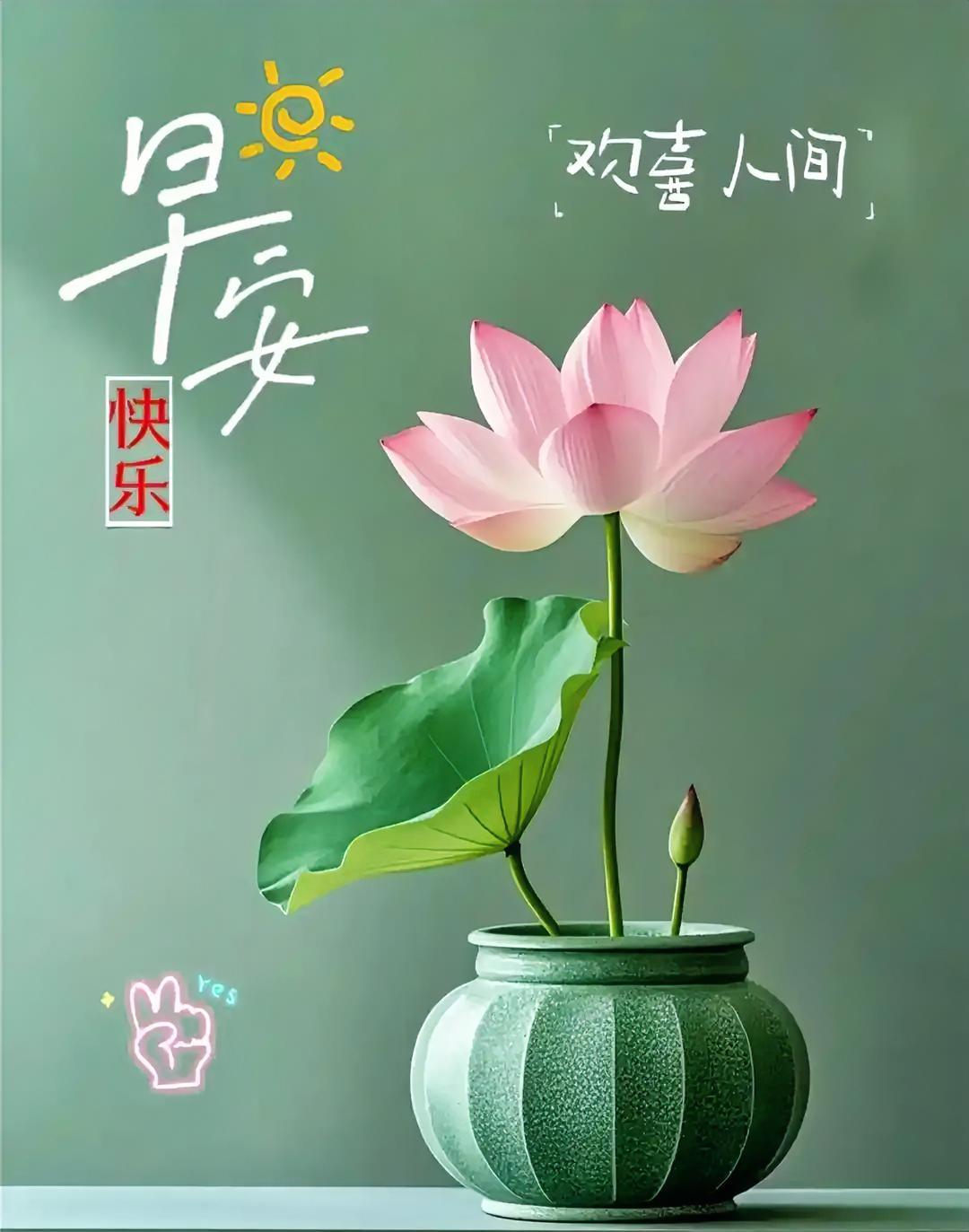 新周愉快，岁月如歌，愿你笑容灿烂如花！
分享清晨美句 
早安花语分享