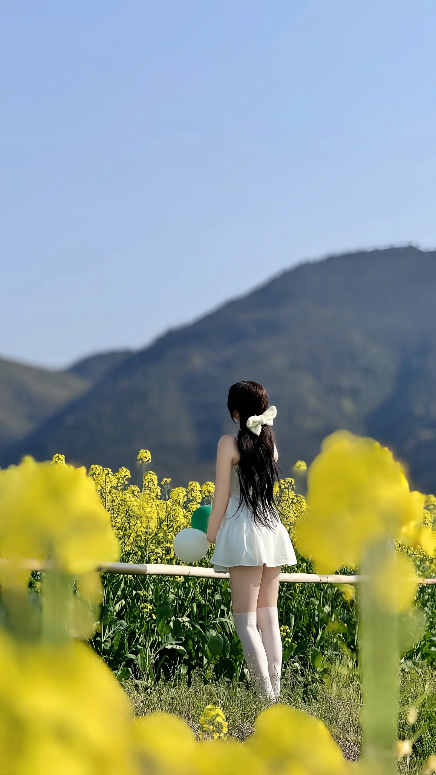 你知道油菜花的花语吗？ 花语是：你想要的以后都会有。春暖花开，一定会好事连连。