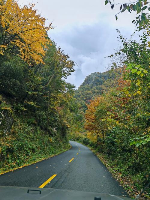 60万网贷压顶！男子离婚净身出户竟藏