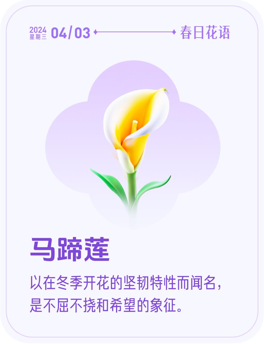 #春日花语#我抽到了「🌸马蹄莲花语卡」🔗戳这里👉快来一起玩春日扭蛋机，送自