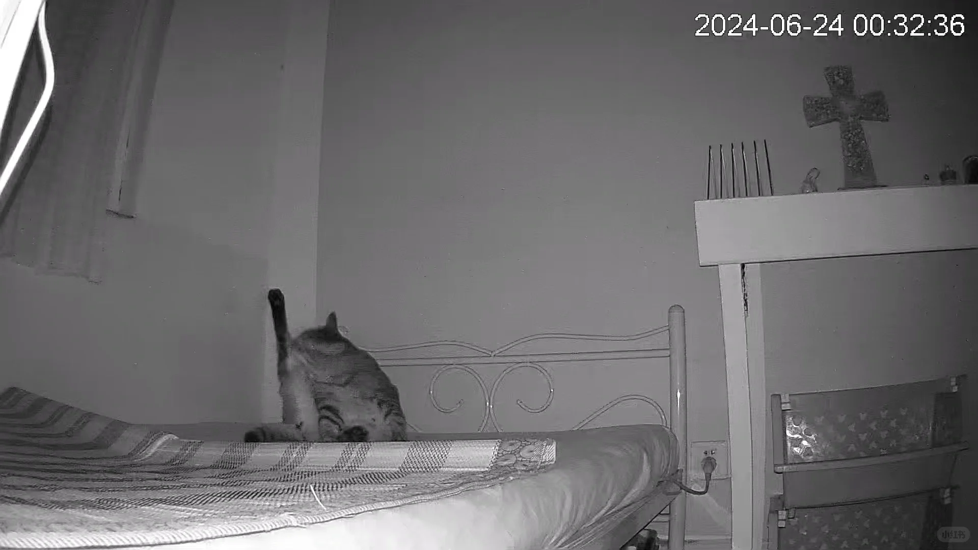 又是在监控想猫的一天😭