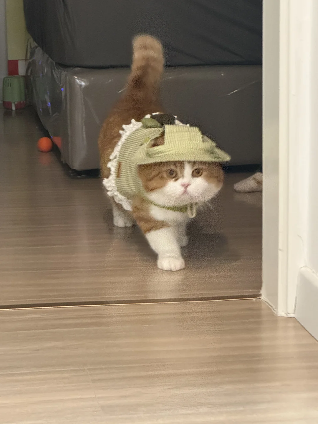 孩子可以做童模吗？