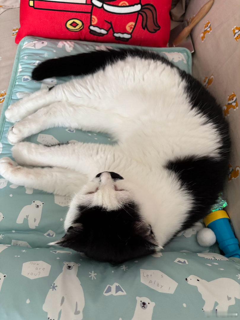 晚安💤 