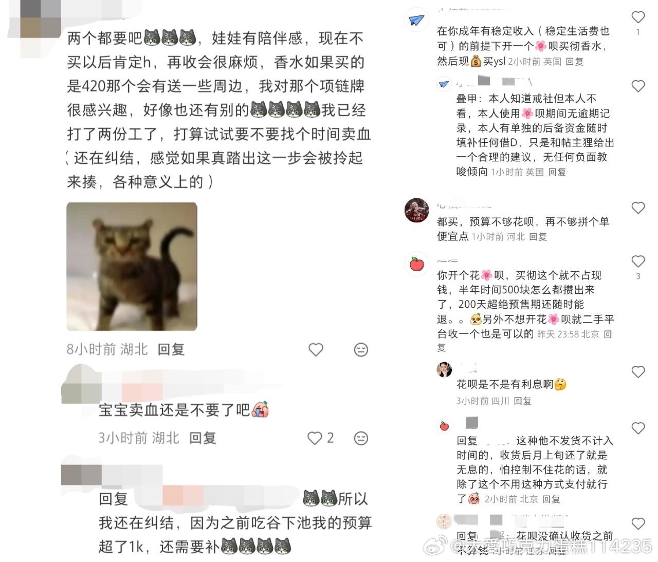 11364谁敢信某四字乙游为了催氪已经做到这种地步了 