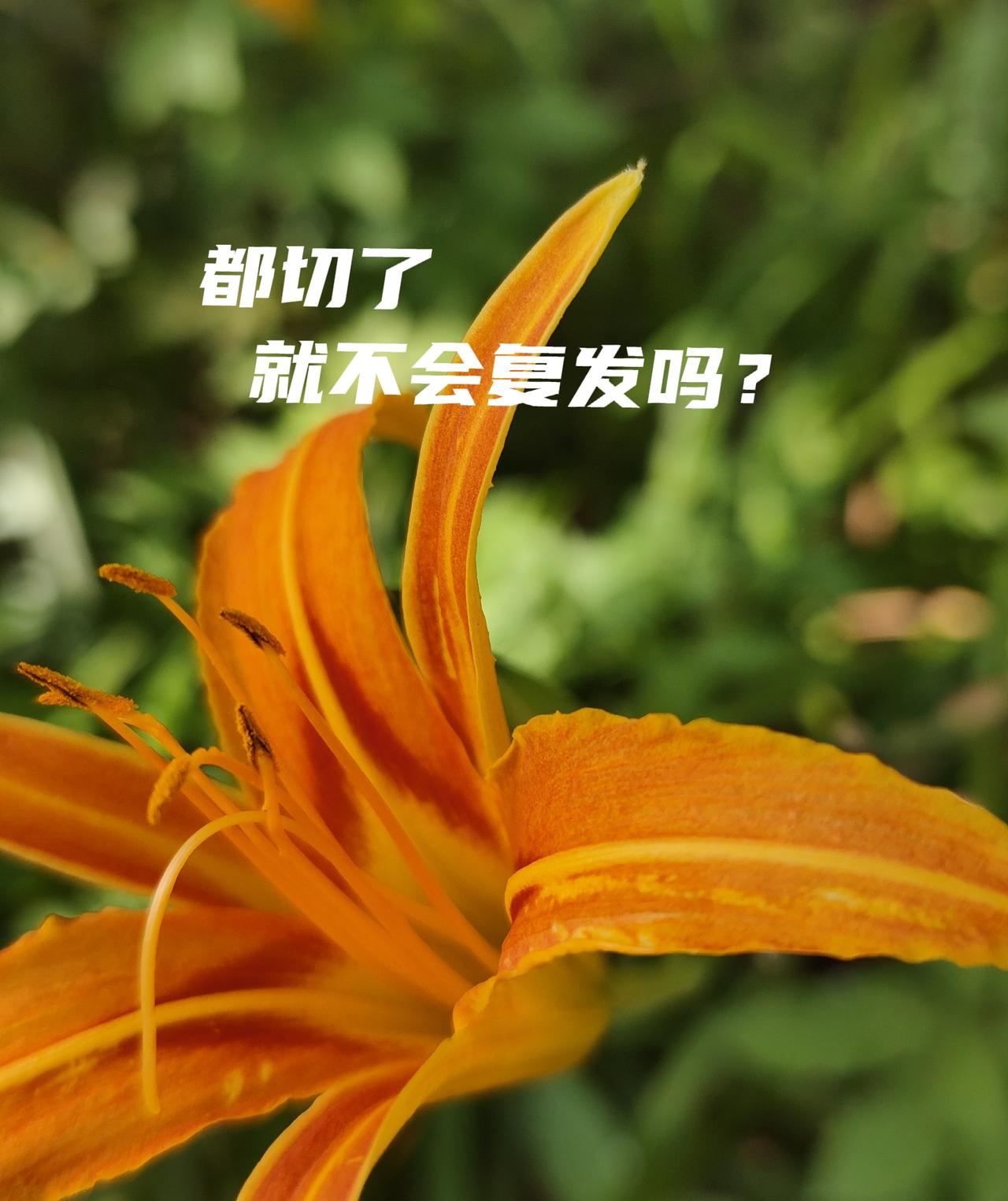 我怀疑这些切切切的方法。
我记得也有专家说过，身体有七大自力，里边的自相耦合力～