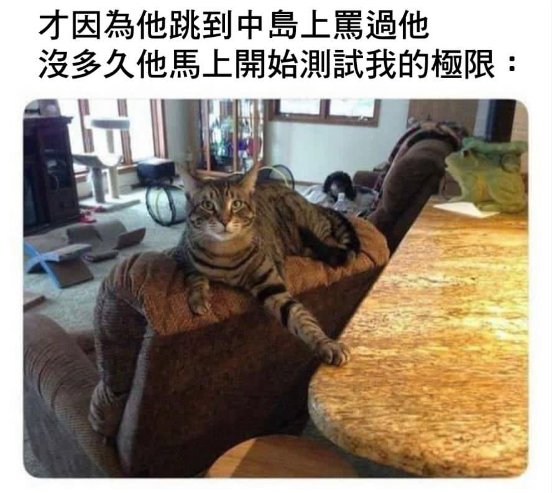 试试#memes##今日memes# ​​​