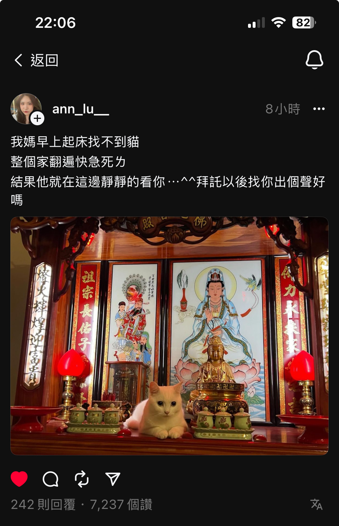 神明桌的磁场吸猫🤣🤣🤣 ​​​