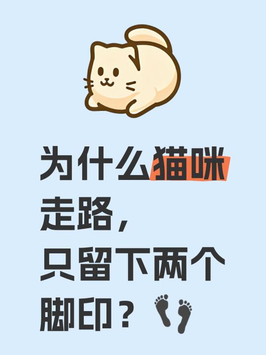 为什么猫咪走路，只留下两个脚印？👣
