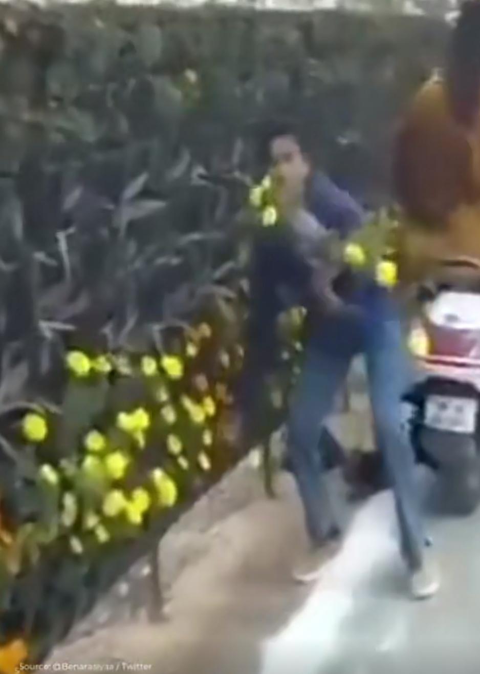 莫迪前脚刚给新公园揭完幕，后脚摆的七千盆花就被老百姓搬空了。

这事发生在印度勒