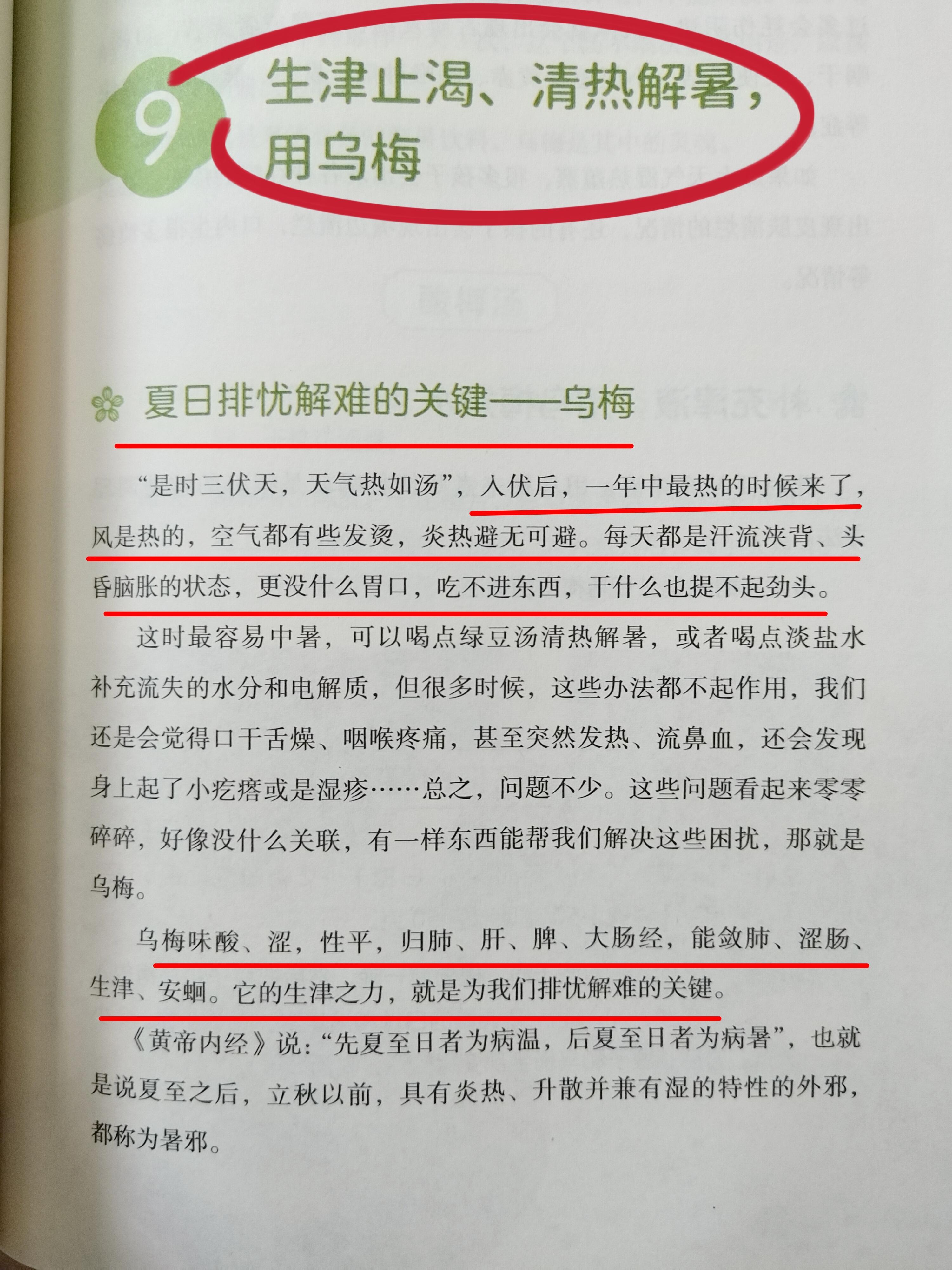 ☀️夏日排忧解难的关键👉乌梅🌿“是时三伏天，天气热如汤