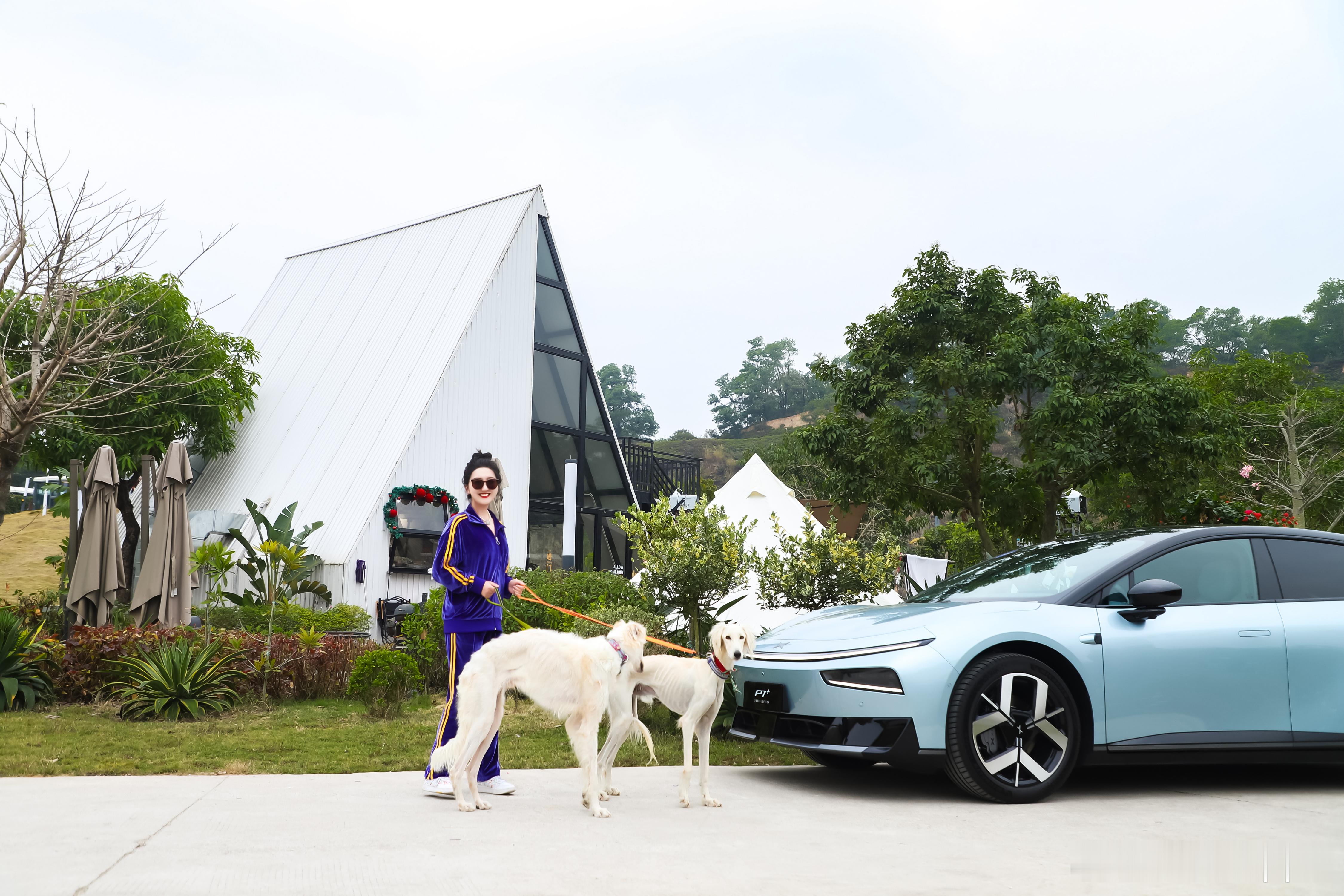 假期最后一天 今天和小🐶一起露营⛺️菡菡子的日常汽场全开