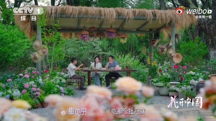 古人把花吃出了花花馔藏着古人对生活的理解，牡丹配瘦肉，尽显生活的华贵；茉莉搭豆腐