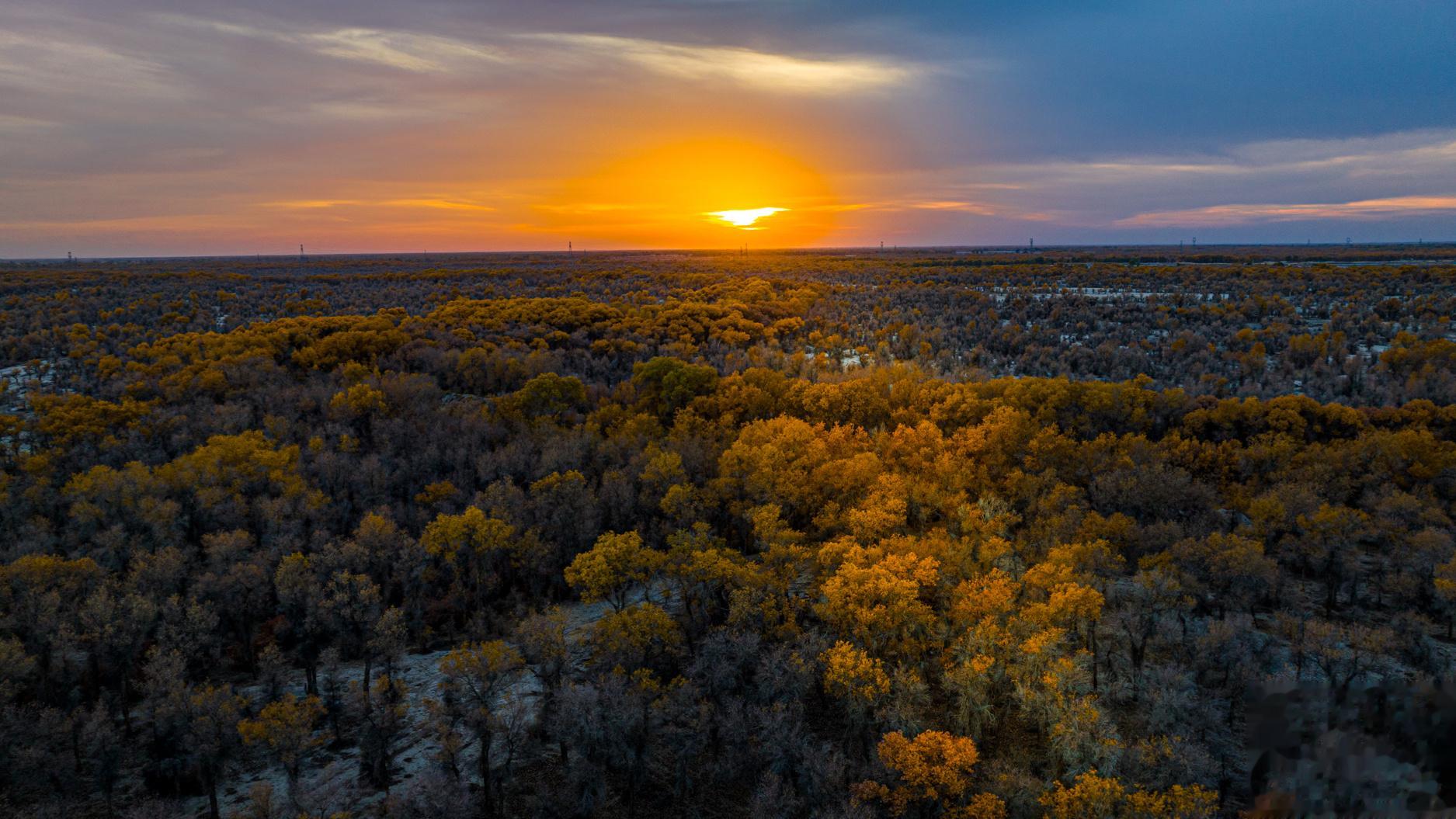 再见轮台 新疆｜轮台#大美新疆#  