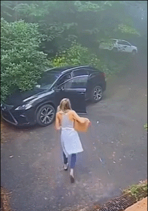 车里面进了一头熊，吓死个人 ​​​