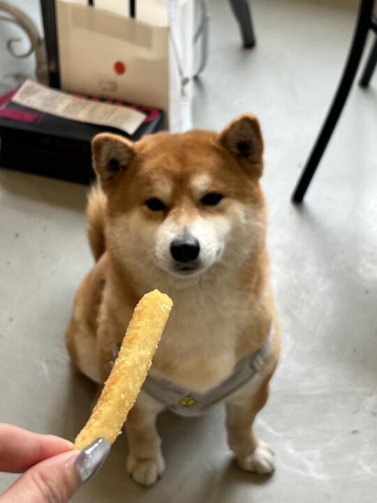 有桐庐的朋友推荐下美食吗