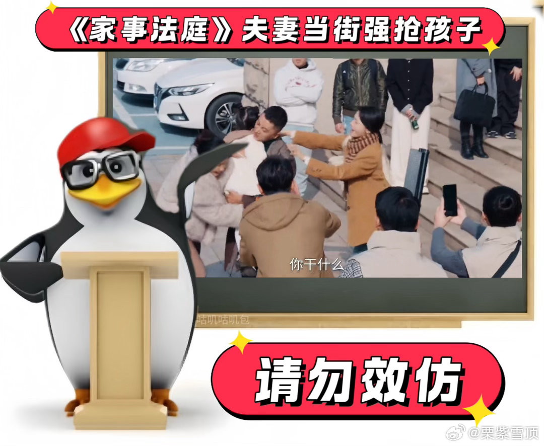 家事法庭网红抢孩子 看家事法庭真被这对网红夫妻气到了，争夺孩子抚养权不是为了孩子